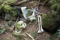 Aokigahara-forest-of-suicides-012