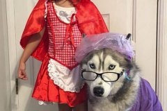 Costume-Cappuccetto-Rosso-Lupo