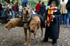 Vestiti-Halloween-Bambini-Harry-Potter-Fluffy
