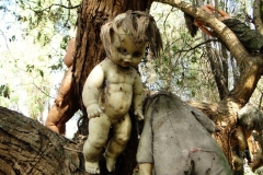 Isla-de-las-Munecas-Mexico-IMG-4-TESTO