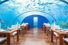 565481_20140830_sott_ac